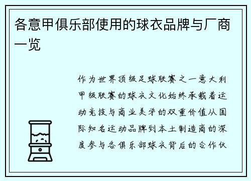 各意甲俱乐部使用的球衣品牌与厂商一览