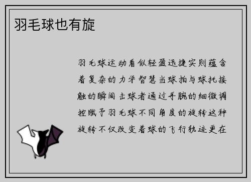羽毛球也有旋