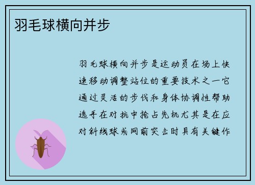 羽毛球横向并步